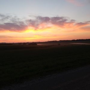 Meet your Posher, Emilie